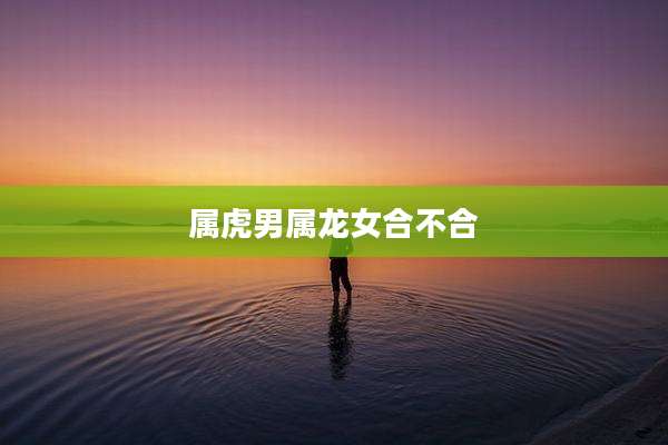 属虎男属龙女合不合
