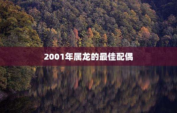 2001年属龙的最佳配偶