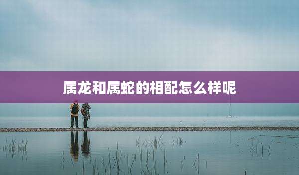 属龙和属蛇的相配怎么样呢