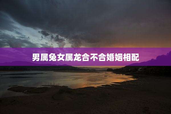 男属兔女属龙合不合婚姻相配
