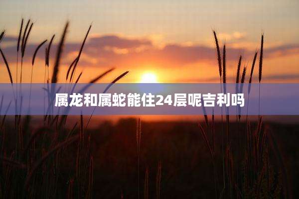 属龙和属蛇能住24层呢吉利吗