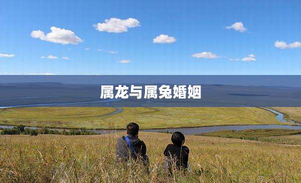 属龙与属兔婚姻