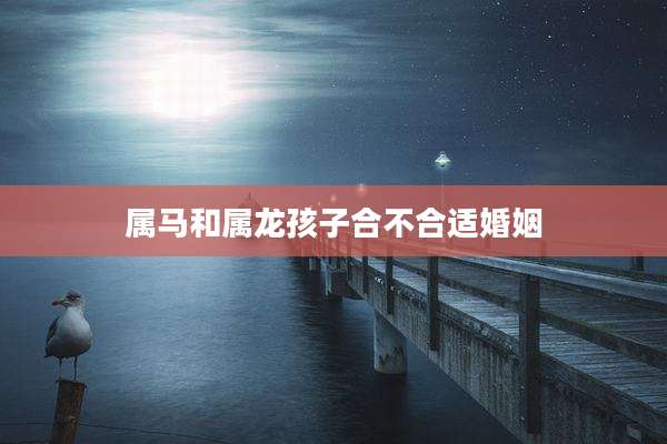 属马和属龙孩子合不合适婚姻