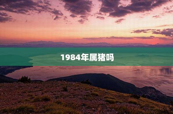1984年属猪吗