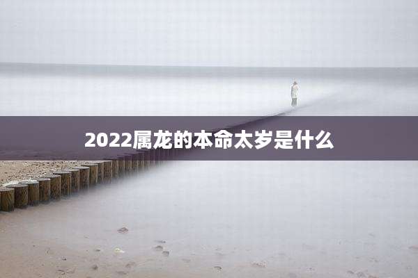 2022属龙的本命太岁是什么