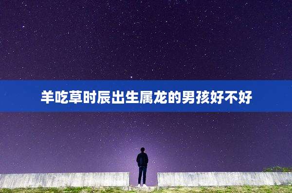 羊吃草时辰出生属龙的男孩好不好