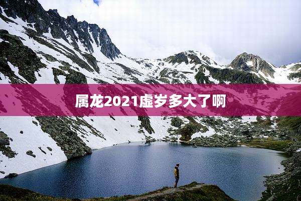 属龙2021虚岁多大了啊