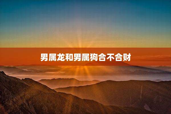 男属龙和男属狗合不合财