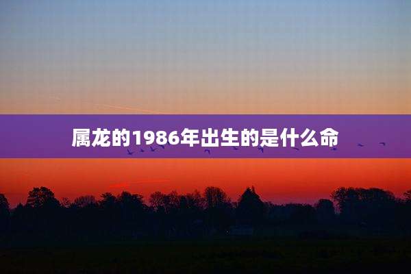 属龙的1986年出生的是什么命