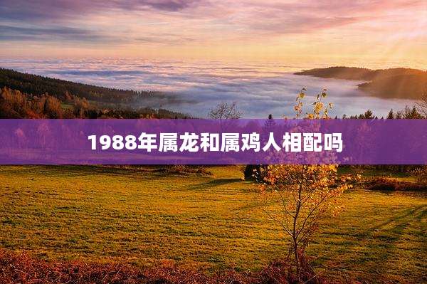1988年属龙和属鸡人相配吗