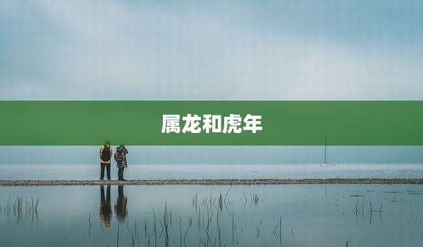 属龙和虎年
