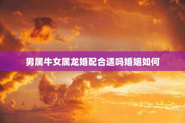 男属牛女属龙婚配合适吗婚姻如何