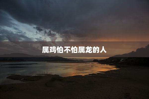 属鸡怕不怕属龙的人