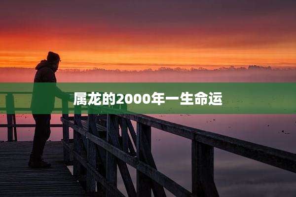 属龙的2000年一生命运