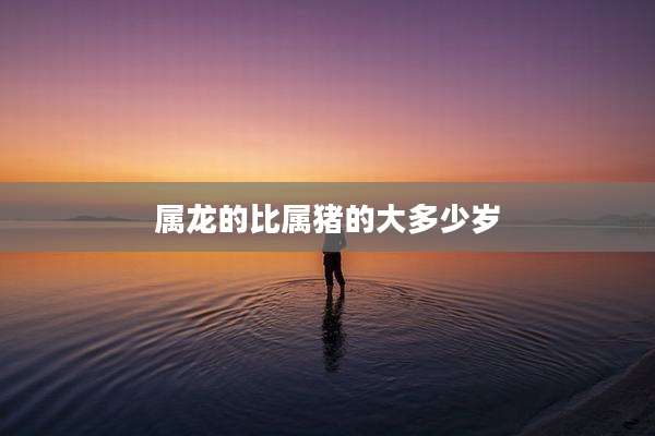 属龙的比属猪的大多少岁