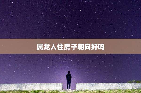 属龙人住房子朝向好吗