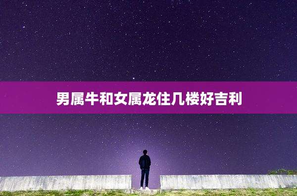 男属牛和女属龙住几楼好吉利