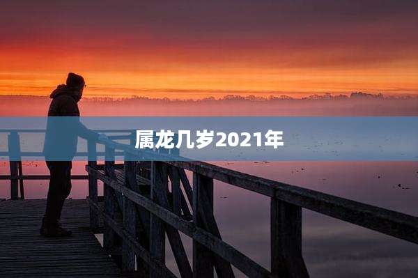属龙几岁2021年
