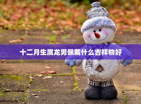十二月生属龙男佩戴什么吉祥物好