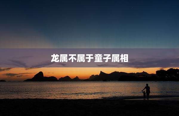 龙属不属于童子属相