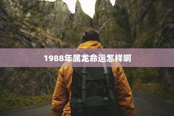 1988年属龙命运怎样啊