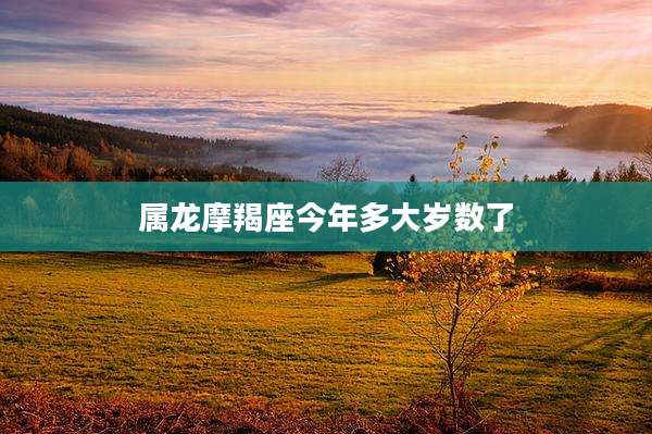 属龙摩羯座今年多大岁数了