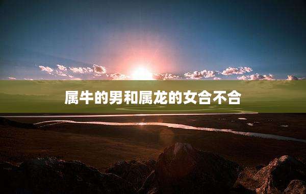 属牛的男和属龙的女合不合