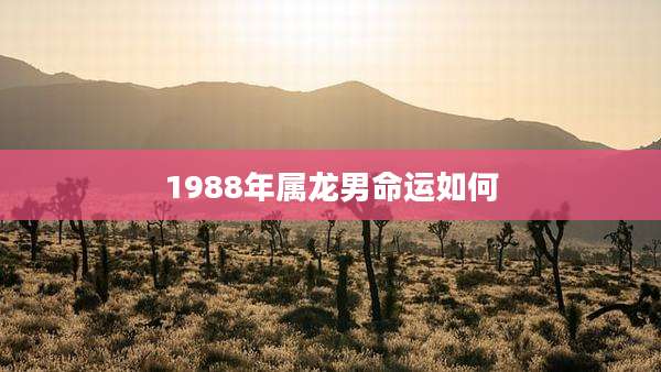 1988年属龙男命运如何