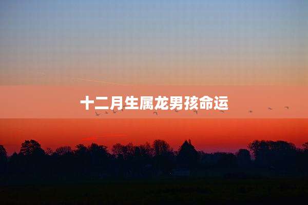 十二月生属龙男孩命运