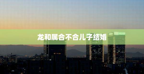 龙和属合不合儿子结婚