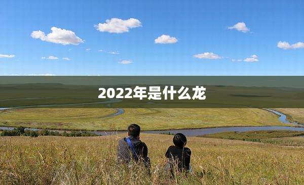 2022年是什么龙