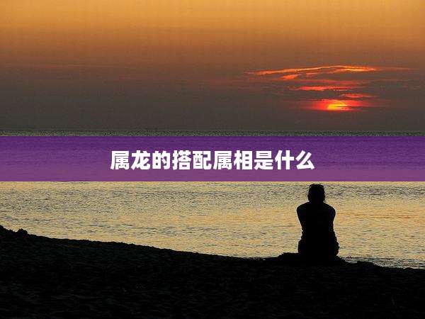 属龙的搭配属相是什么