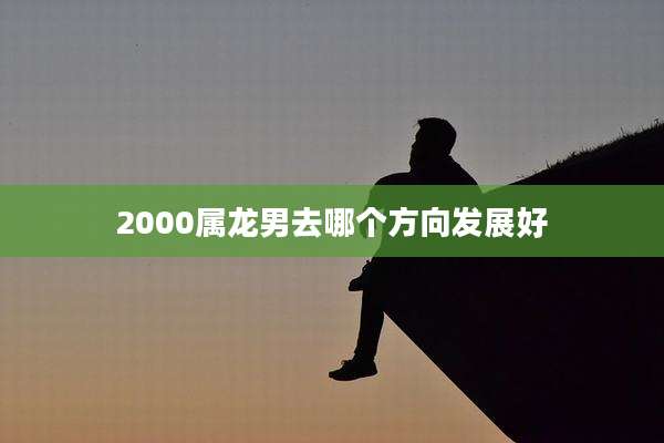2000属龙男去哪个方向发展好
