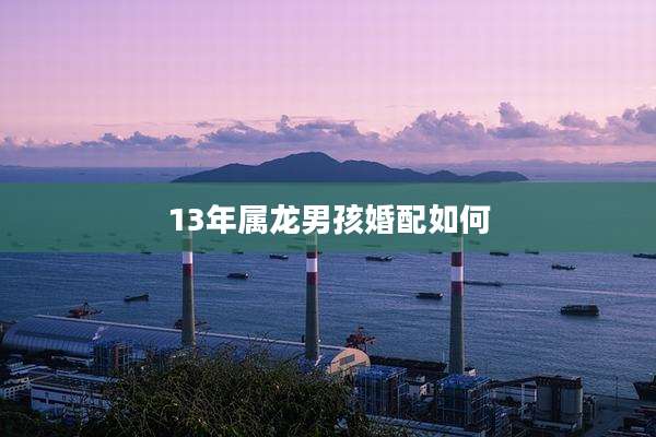 13年属龙男孩婚配如何