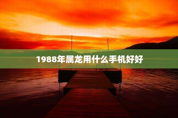 1988年属龙用什么手机好好