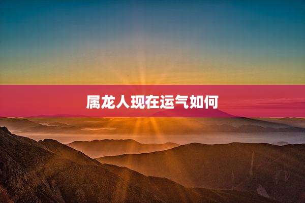 属龙人现在运气如何