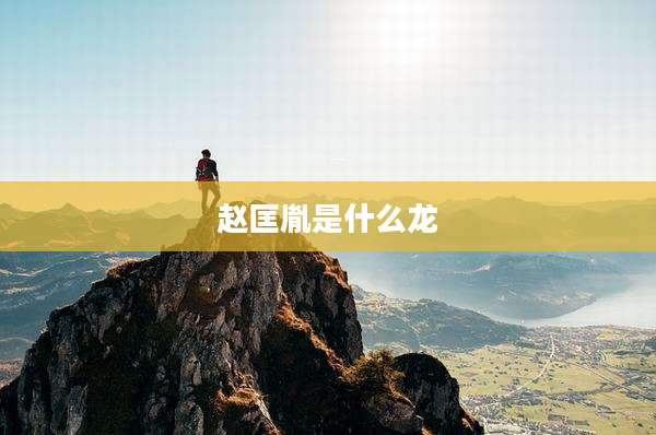 赵匡胤是什么龙