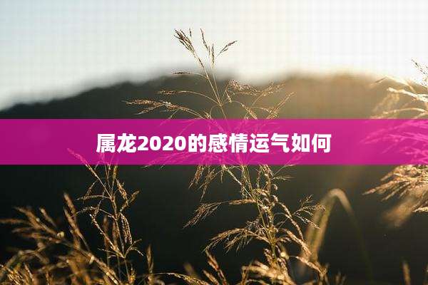 属龙2020的感情运气如何