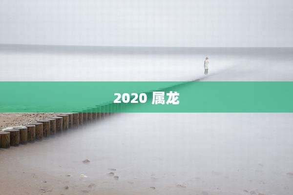 2020 属龙