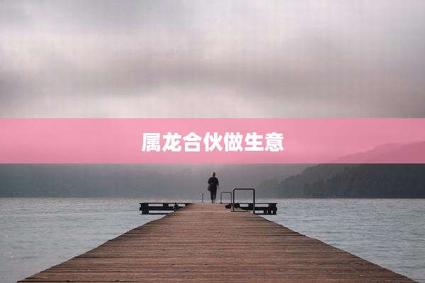 属龙合伙做生意