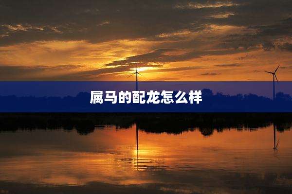 属马的配龙怎么样