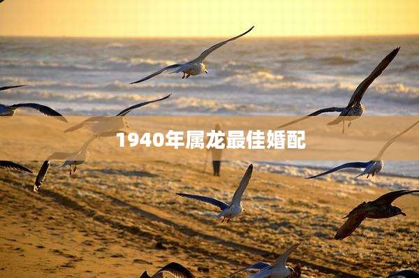 1940年属龙最佳婚配