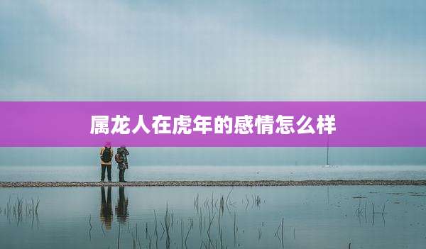 属龙人在虎年的感情怎么样