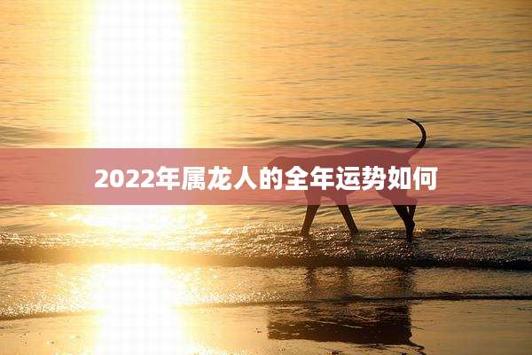 2022年属龙人的全年运势如何