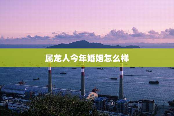 属龙人今年婚姻怎么样