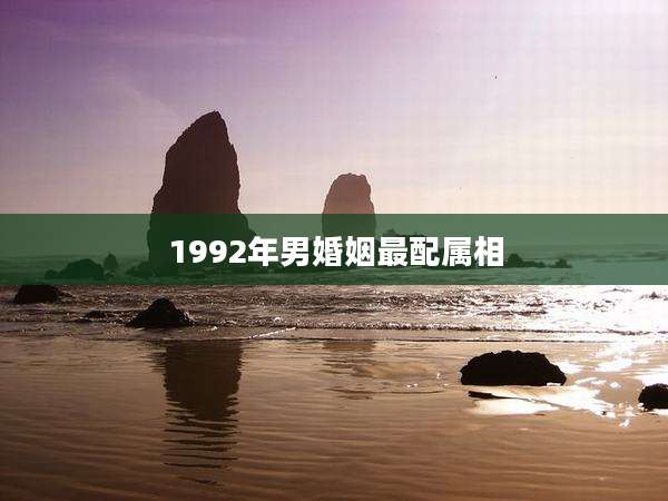 1992年男婚姻最配属相