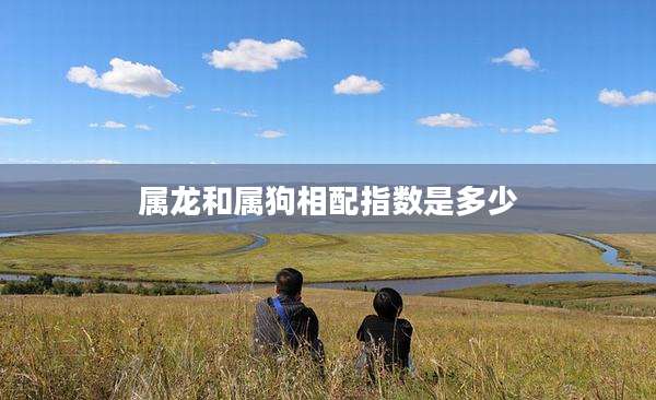 属龙和属狗相配指数是多少
