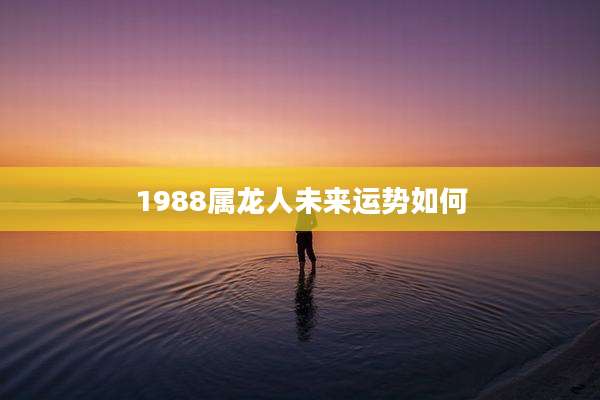 1988属龙人未来运势如何