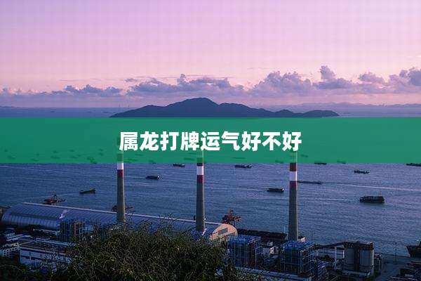 属龙打牌运气好不好