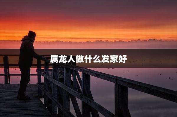 属龙人做什么发家好
